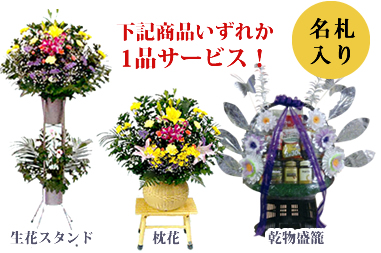 ホームページだけのサービス特典